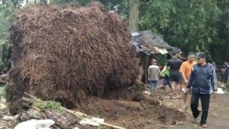 Ayah dan Anak di Jember Tewas Saat Beri Makan Kambing, Tertimpa Bambu Roboh