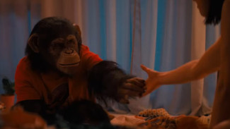 Film Horor Baru PRIMATE, Saat Simpanse Jinak Berubah Menjadi Mesin Pembunuh
