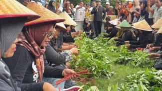 Kearifan Lokal Penataban, Lomba Unting-Unting Kangkung Tarik Antusias Warga