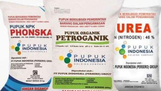 “Kemana Jatah Saya?” Petani Wongsorejo Pertanyakan Hilangnya Pupuk Phonska