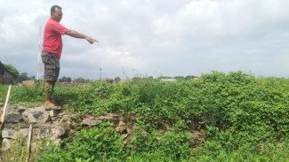 Diduga Kurang Semen, proyek Plengsengan Desa Bajulmati Kopong dan Mudah Hancur
