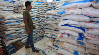 Skandal Pupuk di Desa Bengkak, Jatah Pupuk Phonska Hilang Tanpa Jejak