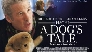 Kisah Nyata Anjing Setia dan Tuannya dalam Film “Hachiko, A Dog Story”