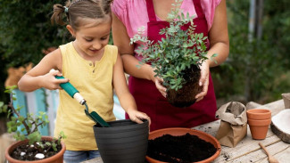 7 Aktivitas Liburan Anak yang Seru dan Edukatif agar Tetap Produktif Selama Liburan Sekolah