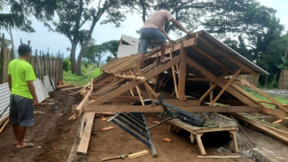 Kegagalan Proyek Pemdes Bimorejo Senilai 44 Juta Rupiah, Kandang Ayam Baru Rata dengan Tanah?