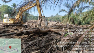Kemenhut Tangani Kayu Hanyutan Pascabencana di Tiga Provinsi
