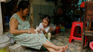 Anak Ingin Memelihara Hewan? Ini 5 Hal yang Harus Orang Tua Lakukan