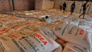 Kios Pupuk di Wongsorejo Diduga Sengaja Tak Cetak Nota untuk Tutupi Harga Tinggi Pupuk Bersubsidi