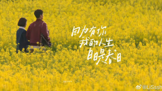 Drakor When Life Give Yous  Tangerines  Bikin Emosi Naik Turun, Tiap Episode Sajikan Dilema yang Menguras Air Mata