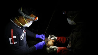 WHO Konfirmasi Kasus Nipah Mematikan di Bangladesh
