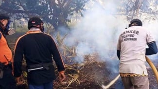 Kebakaran Hutan dan Lahan di Kalbar Capai 435 Hektare
