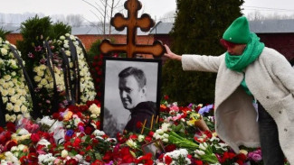 Toksin Katak Panah Penyebab Kematian Navalny Versi Eropa