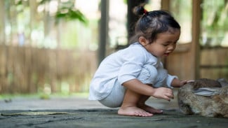 Cara Mengajarkan Pengenalan Hewan kepada Anak Prasekolah Secara Efektif