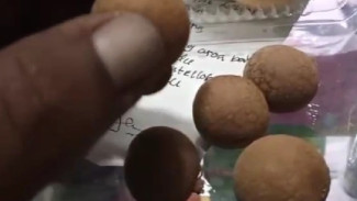 Temuan Paket Menu MBG SPPG Alasrejo, Kacang Lebaran hingga Kelengkeng Kering
