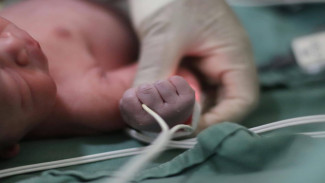 Viral Bayi Hipotermia di Gunung Ungaran: Peringata Keras bagi Orang Tua Pendaki!
