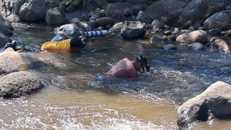 Sungai Desa Watukebo Mendadak Ramai, Puluhan Warga Jadi Pendulang Emas