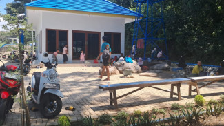 Photo Mini 4