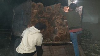 Polhutmob KPH Banyuwangi Selatan Lepas Tembakan Saat Diserang Pembalak, 1 Orang Terluka
