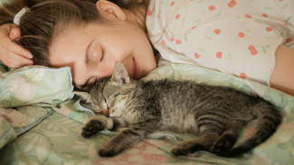 Kabar Baik untuk Pecinta Kucing, Ilmuwan Jepang Kembangkan Terapi Penyakit Ginjal Kronis