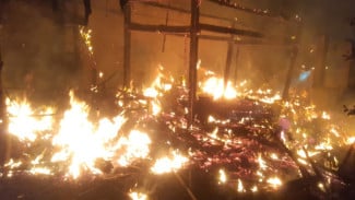 Kebakaran Hebat di Desa Sidodadi: Api Membubung, Tabung Gas Meledak!