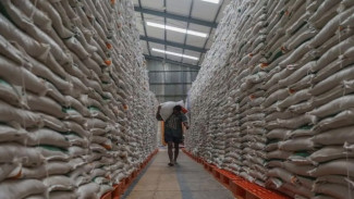 Peringkat ke-1 di Asia Tenggara dan ke-4 di Dunia, Ini Stok Cadangan Beras di Indonesia