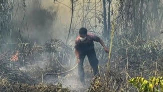 Sejumlah 1.511 Hektare Hutan dan Lahan di Kalimantan Terdampak Kebakaran, Kemenhut Sanksi 6 Perusahaan yang Terlibat