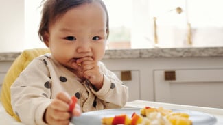 Cara Mengatasi Anak Susah Makan dan GTM: Panduan Aturan Feeding Rules IDAI