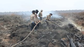 Naik Signifikan, Sejumlah 799 Hotspot Karhutla Terdeteksi