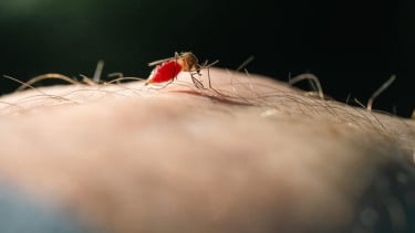 img_title