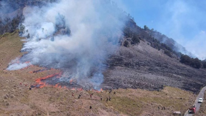 Kebakaran besar diarea wisata Gunung Bromo.