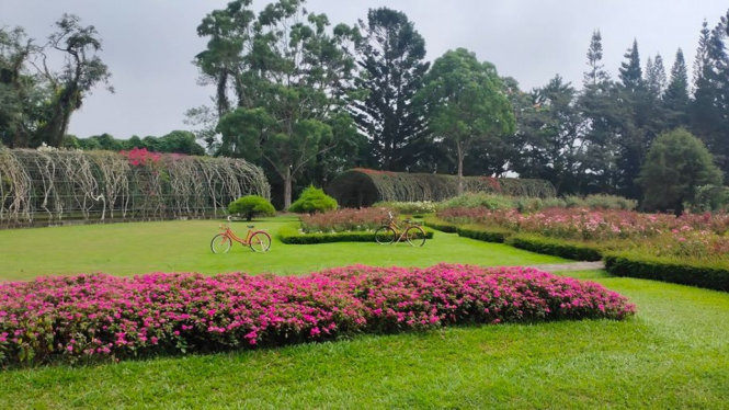 Suasana Taman Bunga Nusantara di Cianjur.