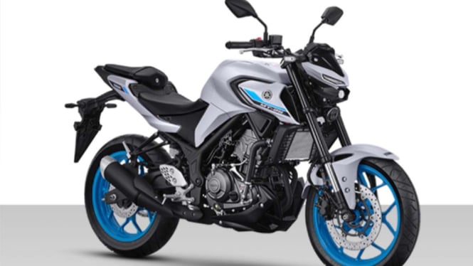 Review Yamaha MT-25 2025.