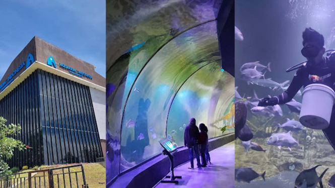 Aquarium Indonesia Pangandaran: Wisata Edukatif Keluarga.