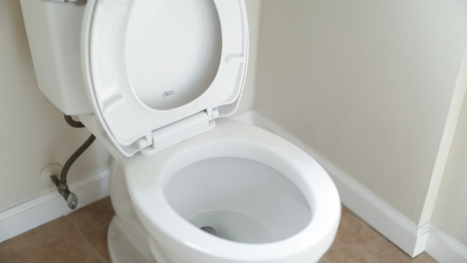 Etika kebersihan di toilet umum