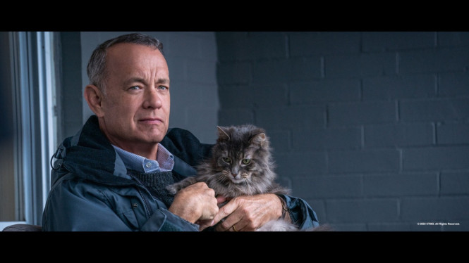 Tom Hanks sebagai Otto Anderson.