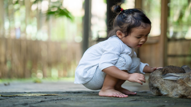 Mengajarkan Anak Tentang Hewan