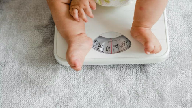 Berat badan anak perlu dipantau untuk mengetahui kecukupan nutrisnya