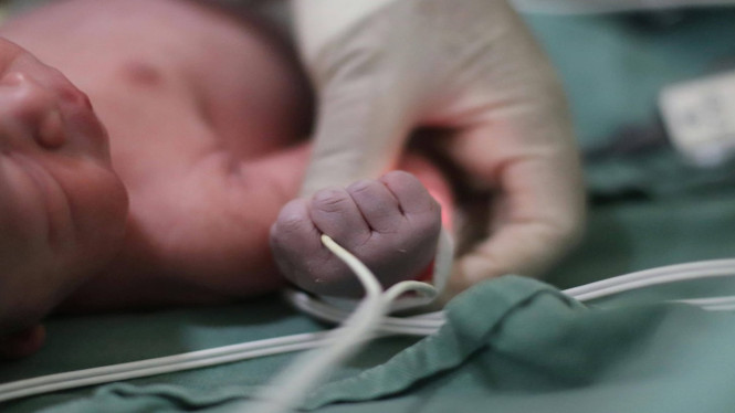 Waspada bayi hipotermia.