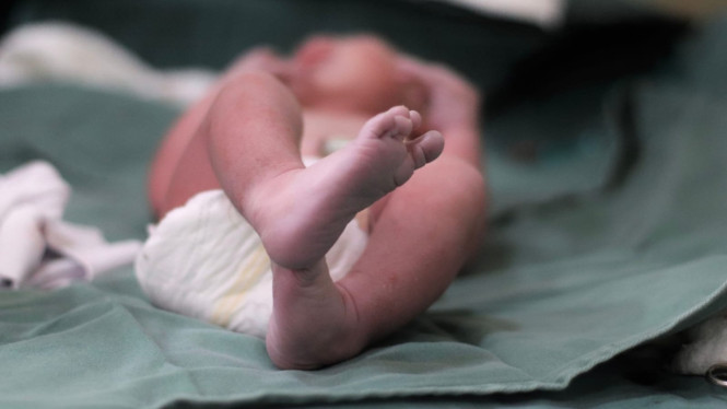 Panduan tepat merawat bayi baru lahir agar tetap sehat.