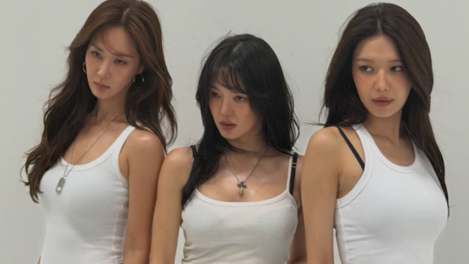 Sub-unit HyoRiSoo untuk MV Skibidi