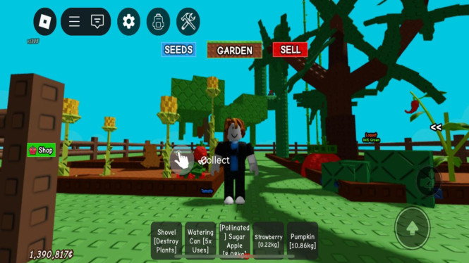Update Besar Roblox Grow a Garden: Sistem Cuaca Dinamis Hadir di Kebunmu