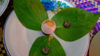 Photo Mini 3