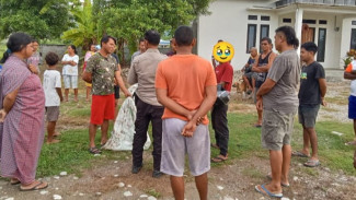Kepergok Mencuri Babi dari Kandang, Kato Diserahkan ke Polisi