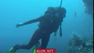 Selat Pantar Alor: Surga Wisata Bahari yang Menyaingi Karibia