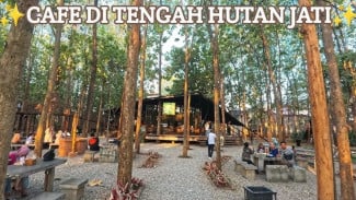 Menikmati Suasana Asri di Hutan Jati Cafe and Gelato, Spot Nongkrong Kekinian di Purwakarta