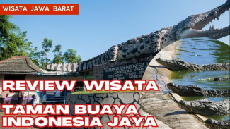Destinasi Wisata Ekstrem dan Edukatif: Taman Buaya Indonesia Jaya