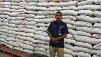 Bulog Bajawa Siap Beli Gabah Kering Panen dari Petani, Harga Sesuai HPP