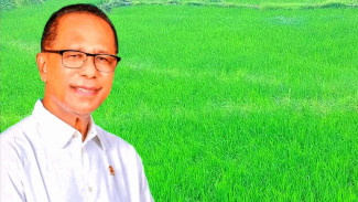 Anggota DPR RI Usman Husin Gelontor 9800 Hektare Benih Padi Unggul untuk Petani di Rote