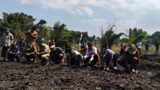 Melirik Potensi Pertanian Lahan Kosong Dari Puncak Bukit Mata Go