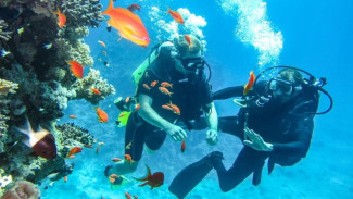 Menyelami Dunia Diving: Antara Teknologi dan Ketangguhan Manusia